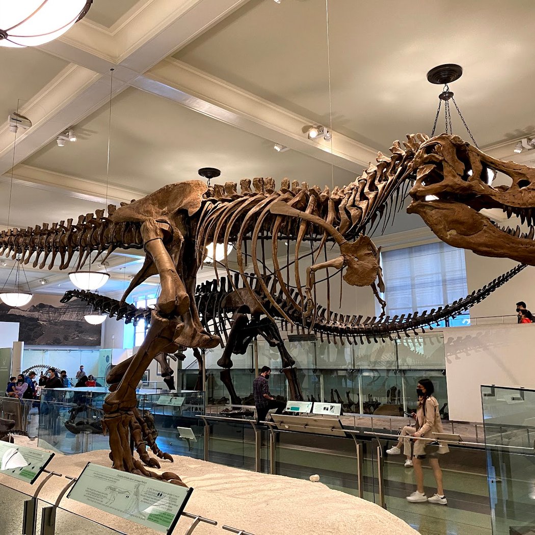 Evolution on Trial: 100 Years After Scopes 3