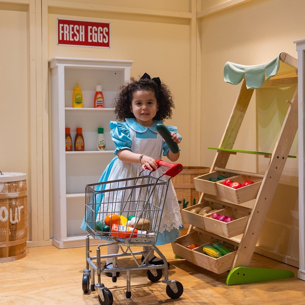 Hudson's House of Play 1