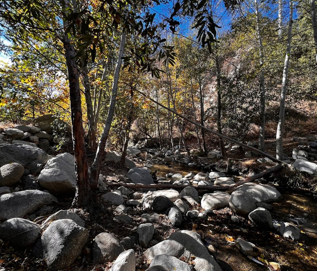 Millard Canyon Preserve Habitat Restoration 2