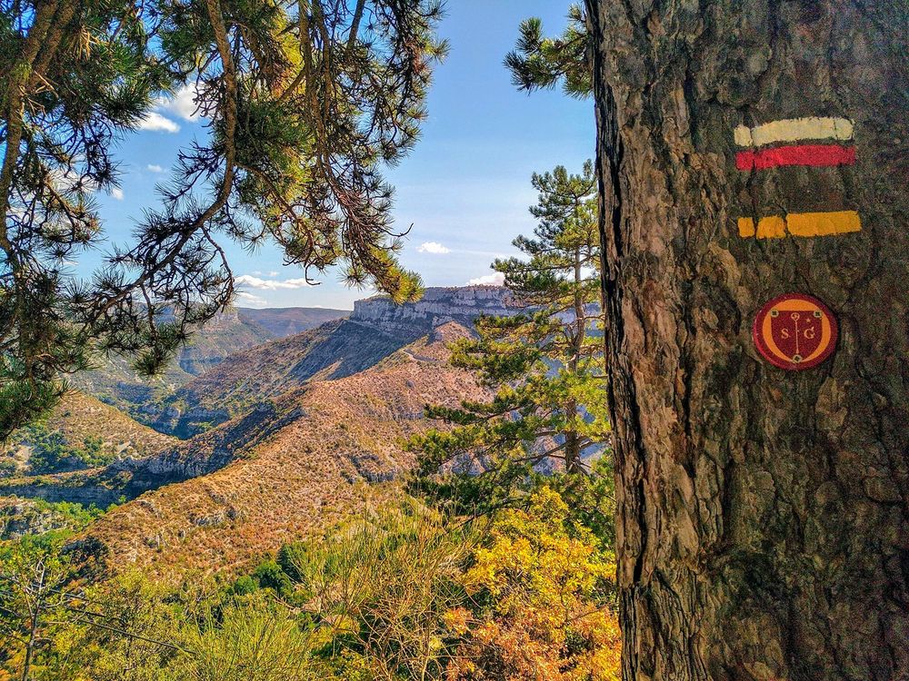 Chemin de Saint Guilhem 1