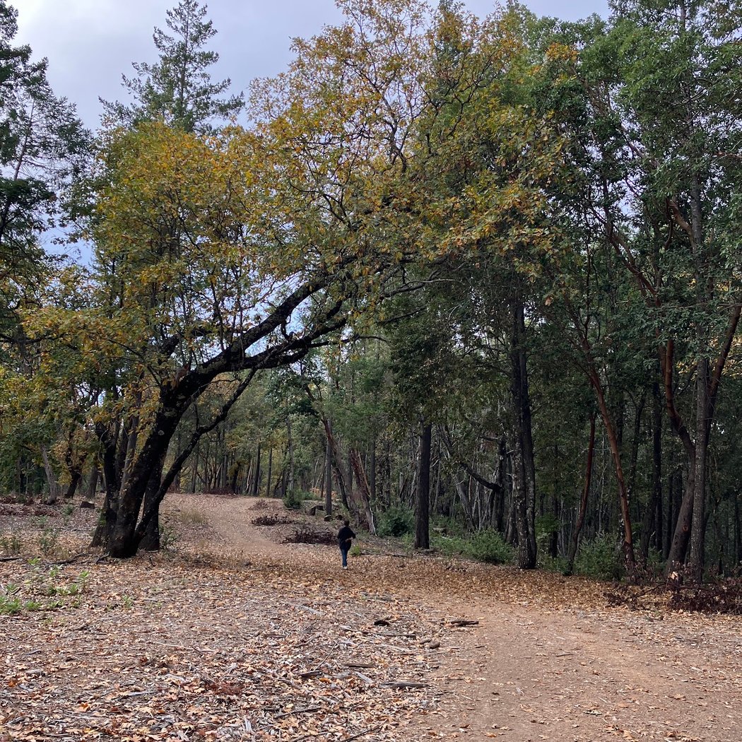 Inspiration Point 3