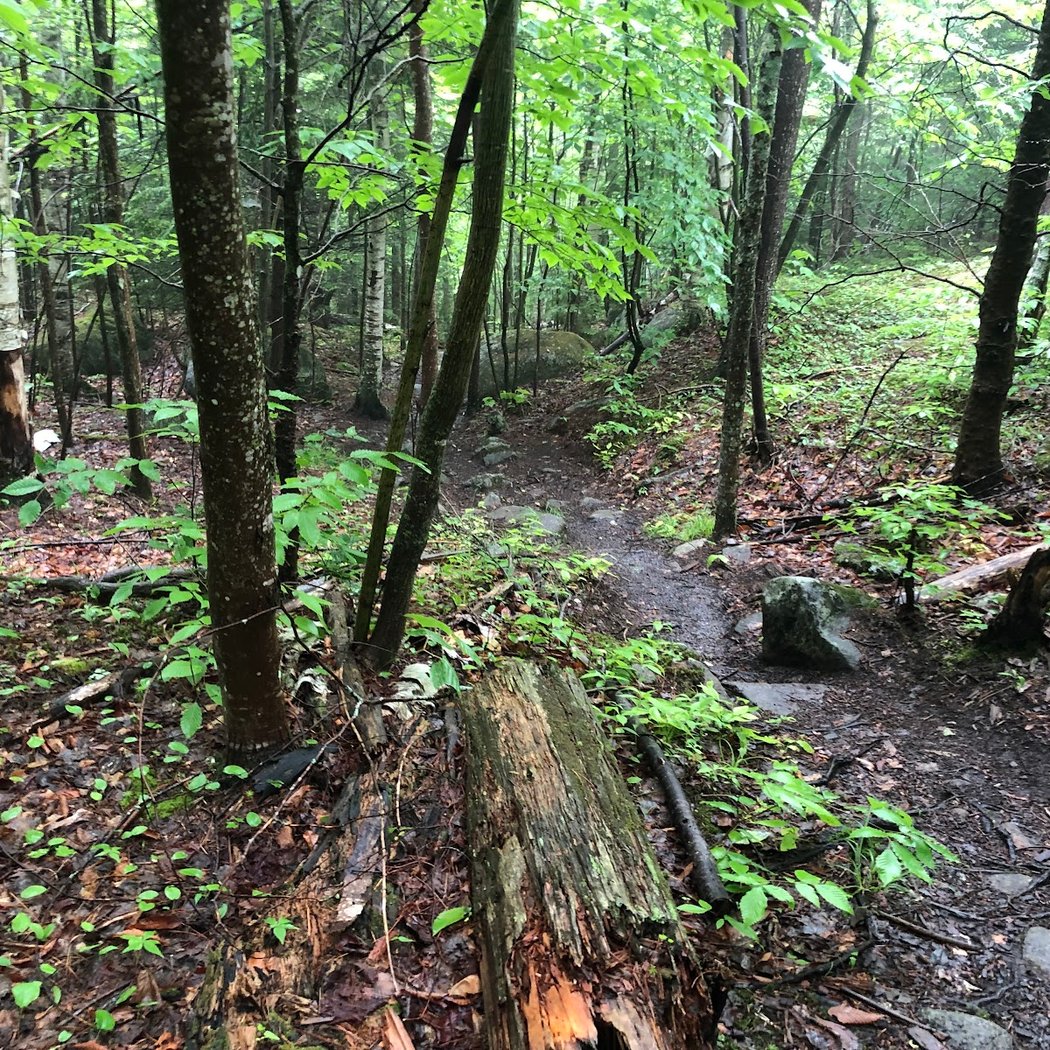 Baker Mountain Trailhead 3