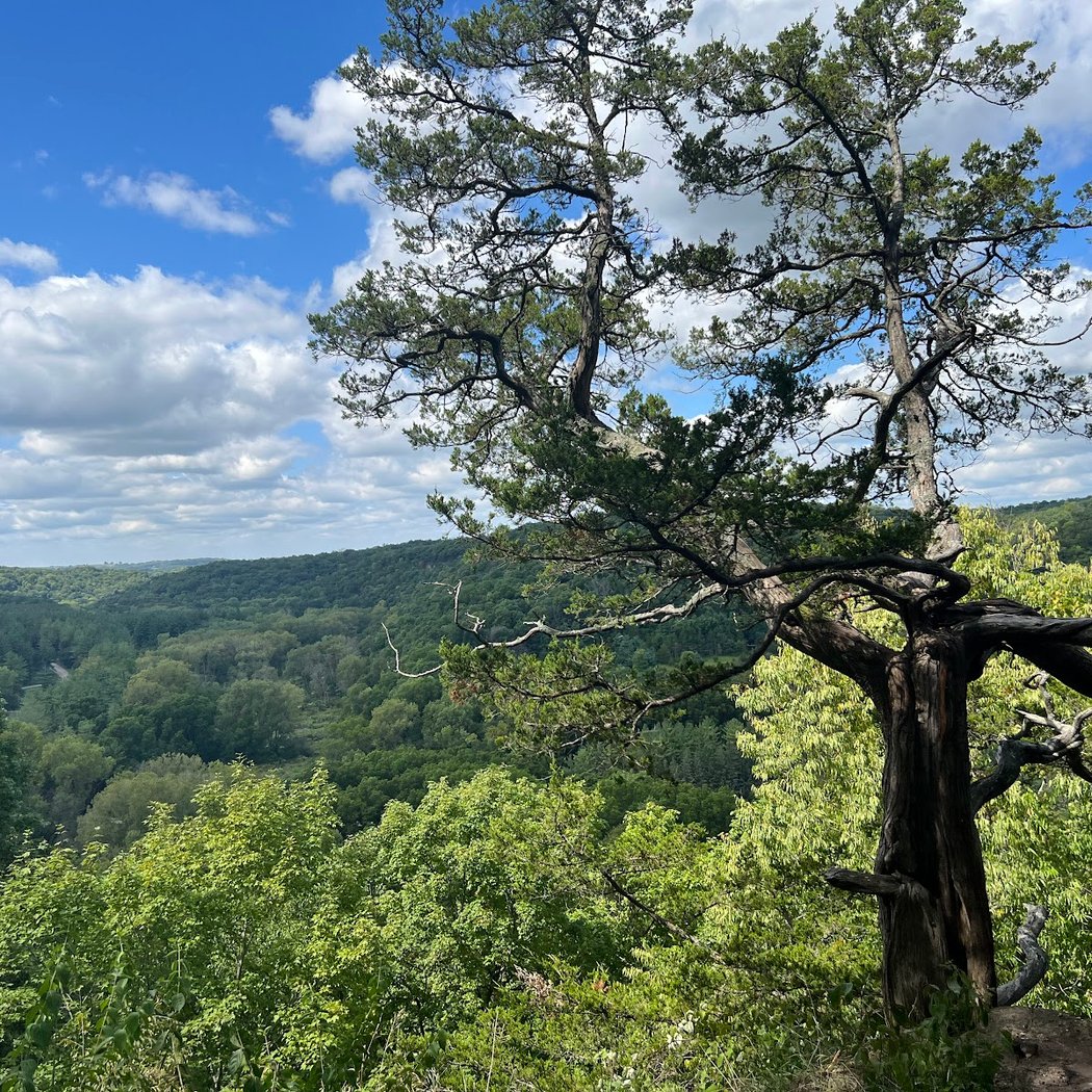 Yellow River State Forest - Paint Creek Unit 1