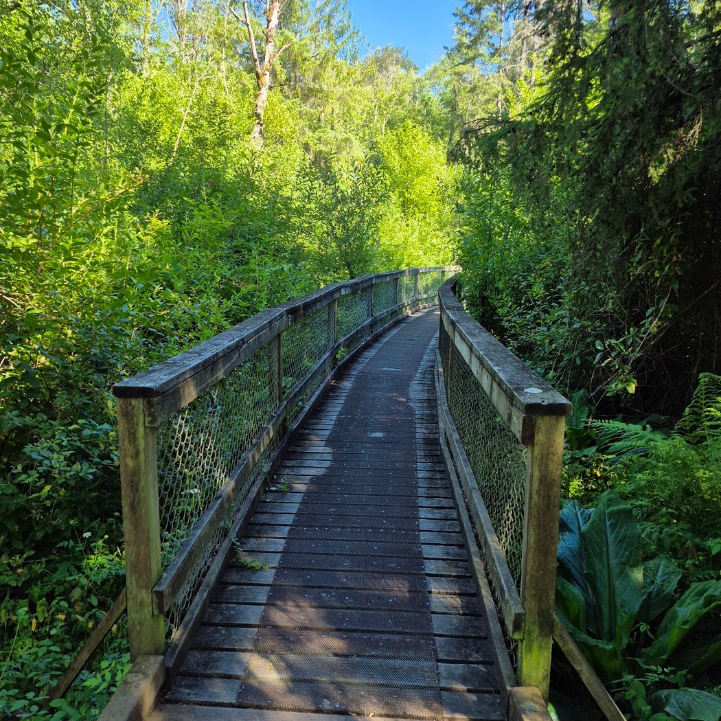 West Hylebos Wetlands Park 2