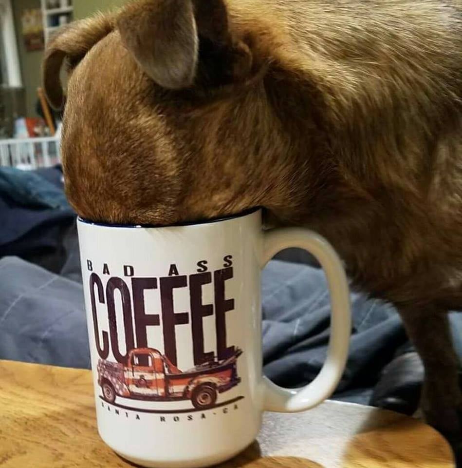 Bad Ass Coffee of Hawaii 1