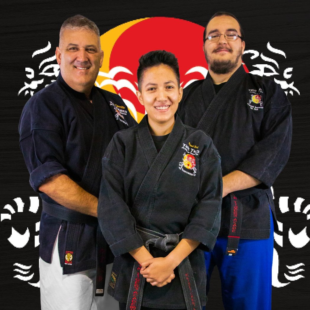 Twin Tigers Academy of Self Defense 2