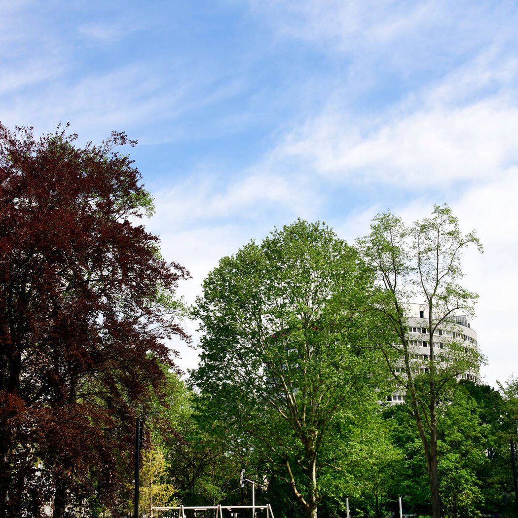 Parc Freudenstadt 3