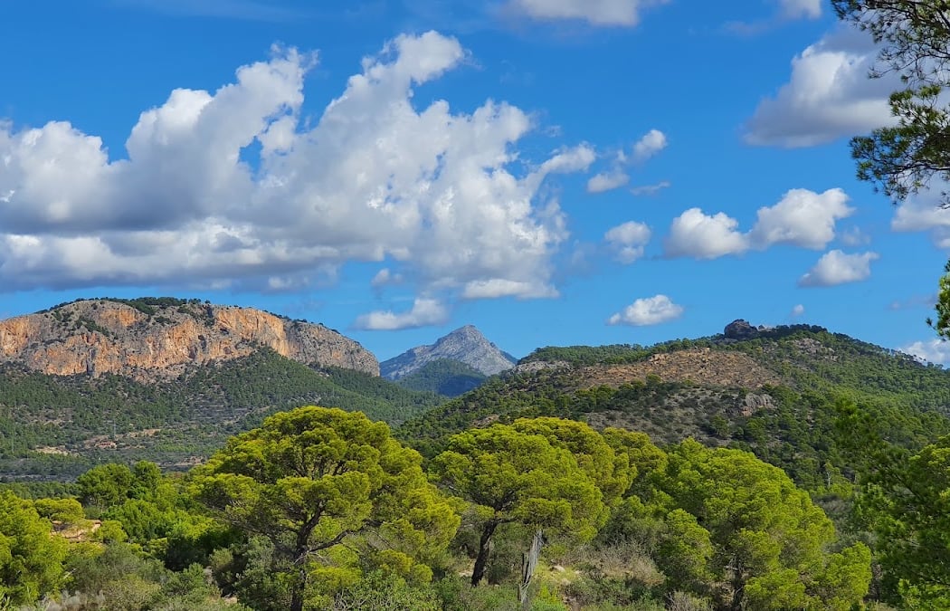 Torre des Cap Andritxol 3