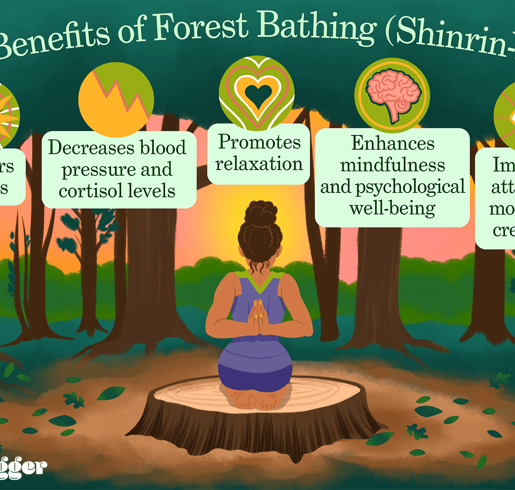 Nature Therapy & Forest Bathing 2