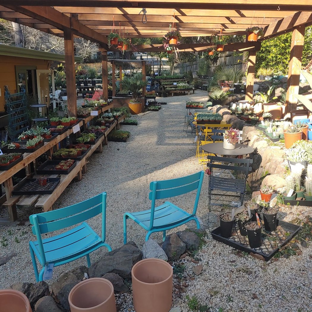 Yarrow Nursery on Thornhill Dr 3