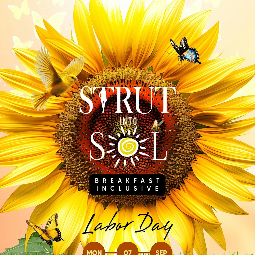 STRUT into SOL