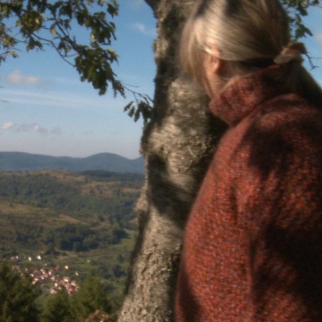 CinéFID screening of La Ligne Bleue