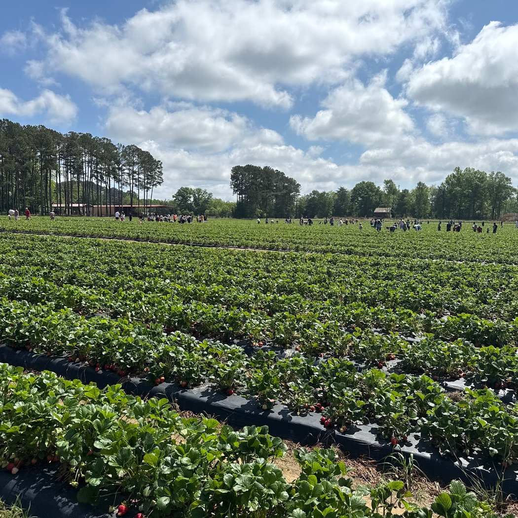 Washington Farms 2