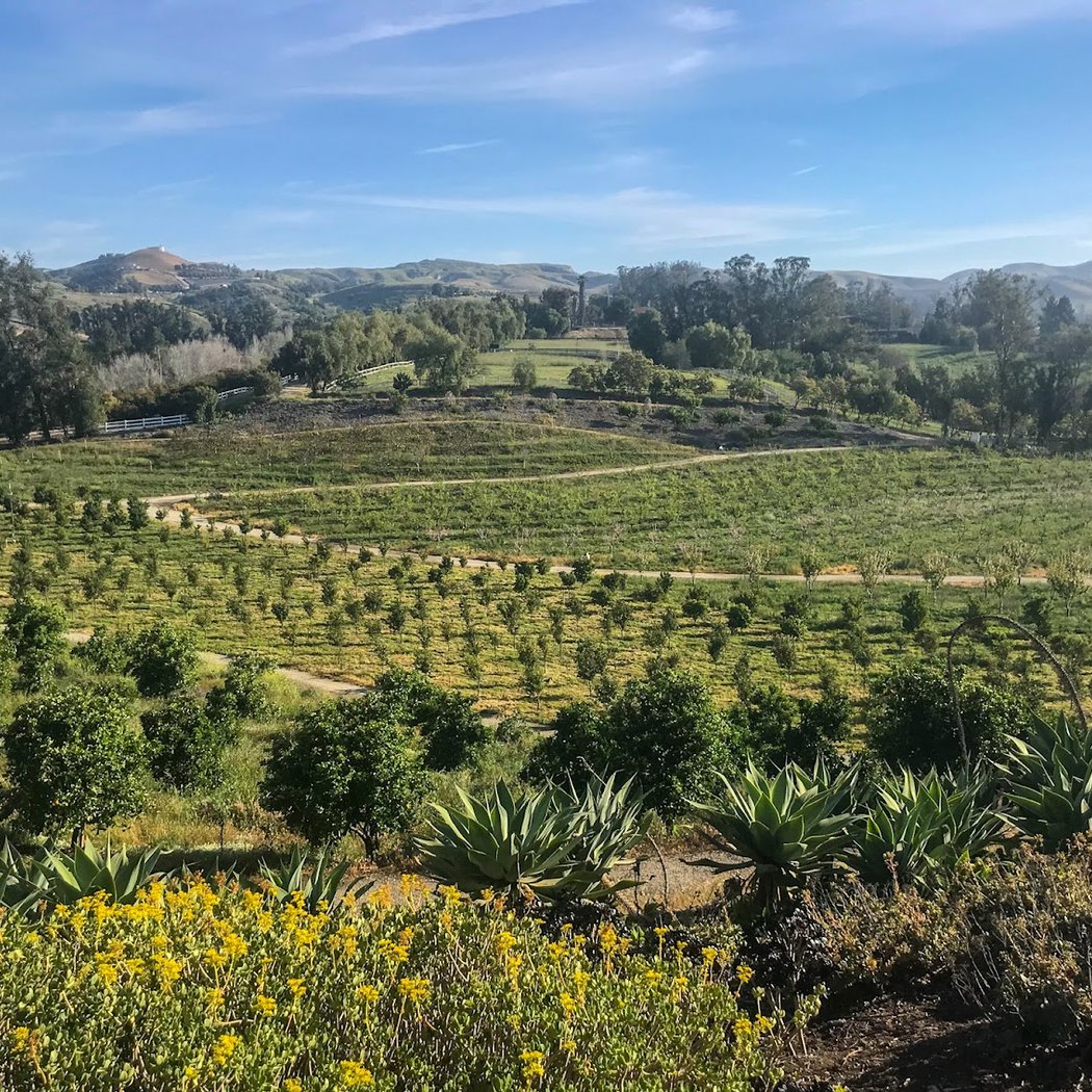 Regenerative Farm Tour 2
