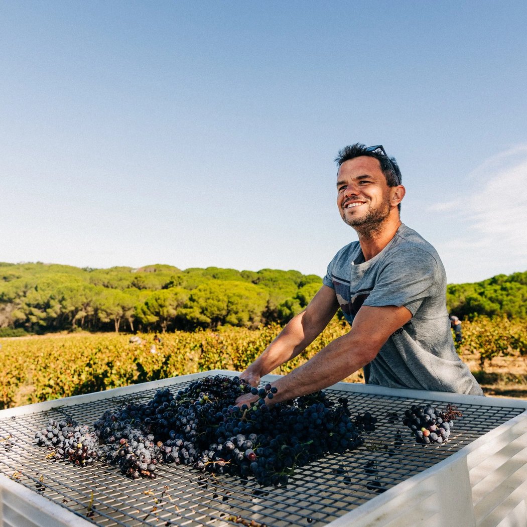 Les Quilles - Cave & Bar à Vins de Communale 3