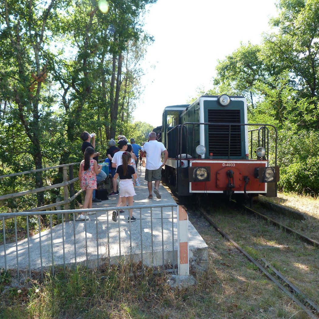 Tourist Train Guitres - Marcenais 3