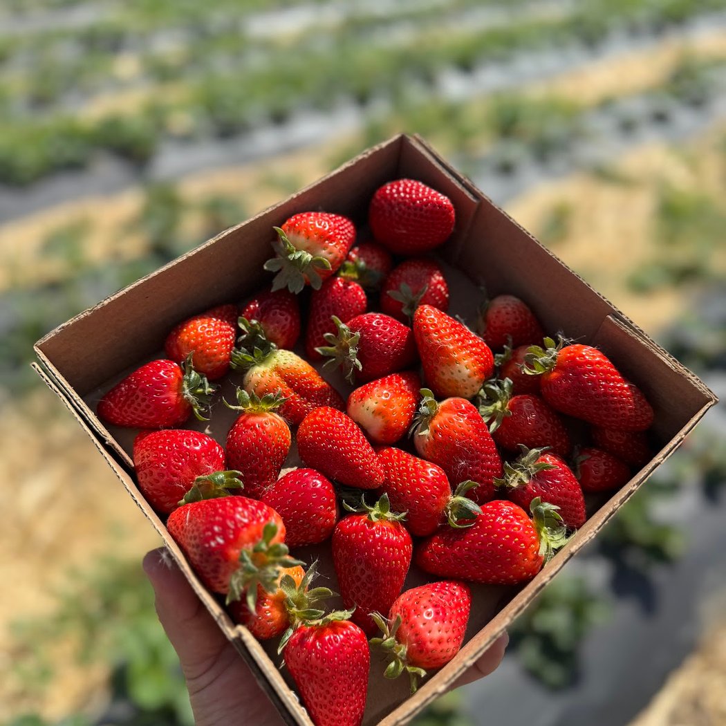 J&E Family Farm - Farm Stand 1