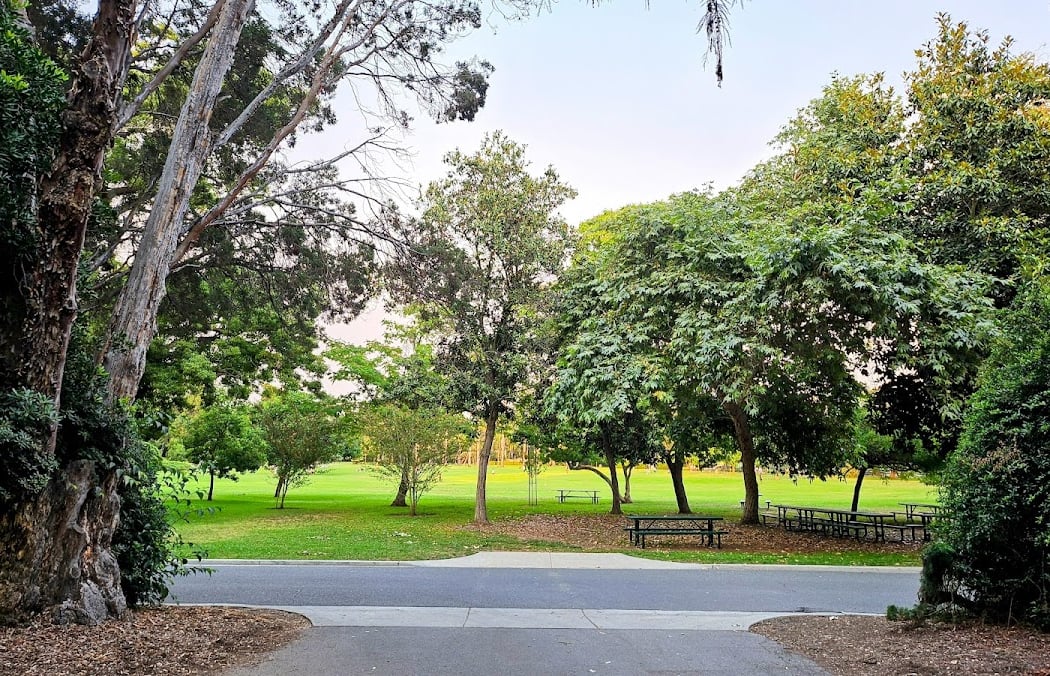 Lacy Park 2
