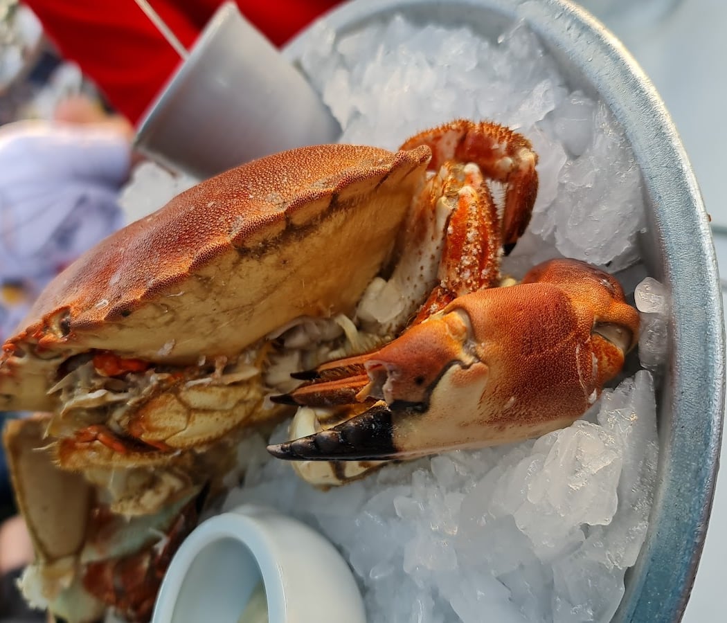 L'Etoile de Mer 2