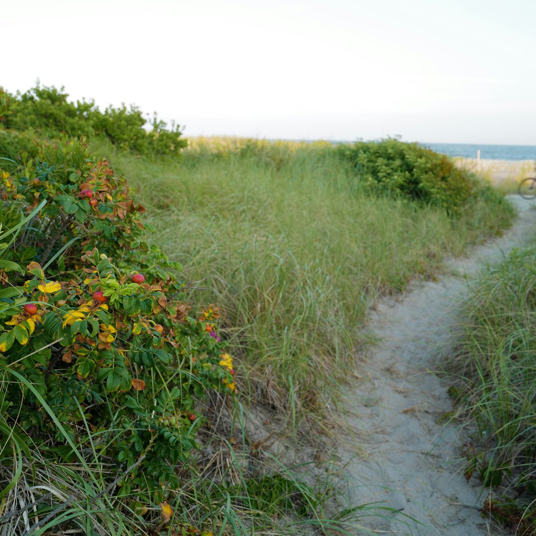 Fort Tilden Beach 5