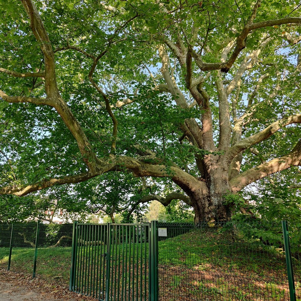 Parc de Diane 2