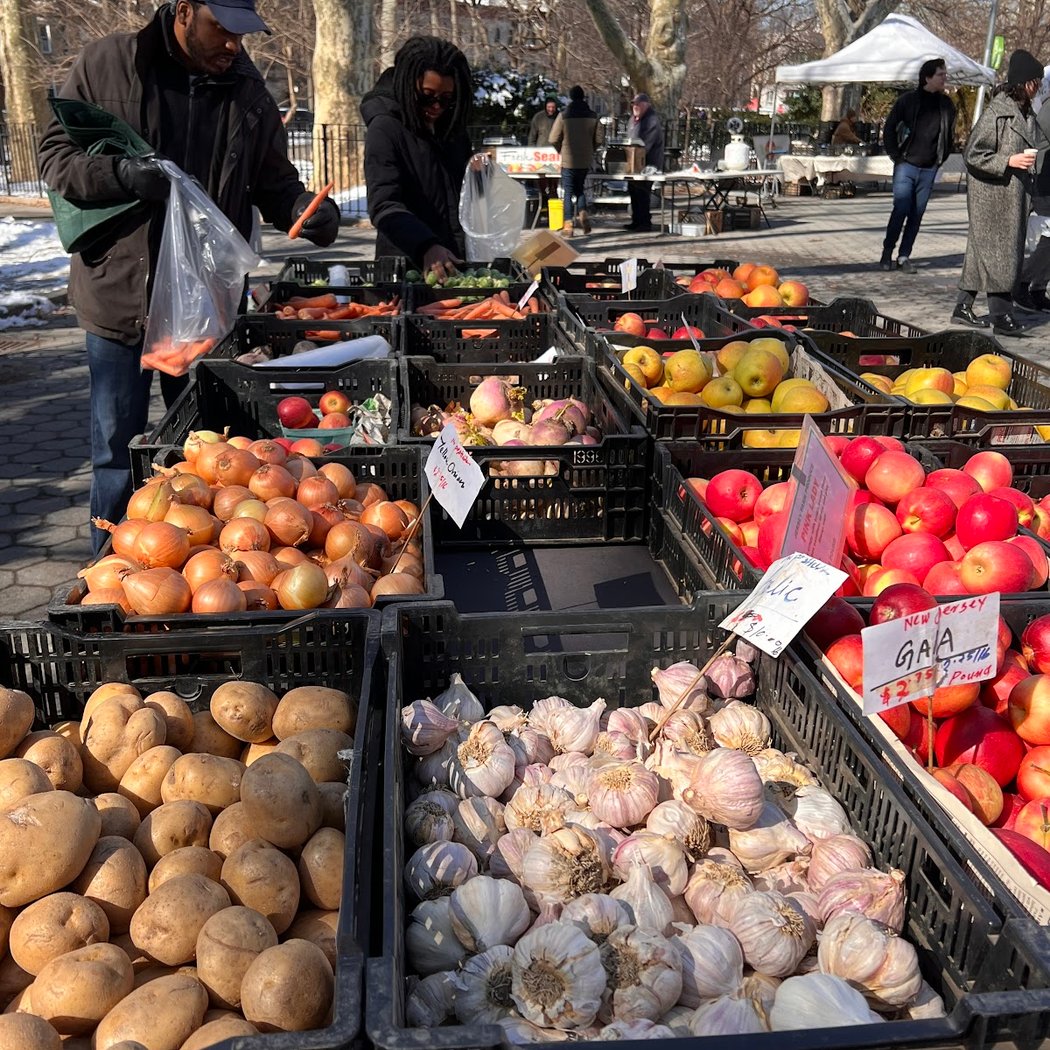 Down to Earth McGolrick Park Farmers Market 1