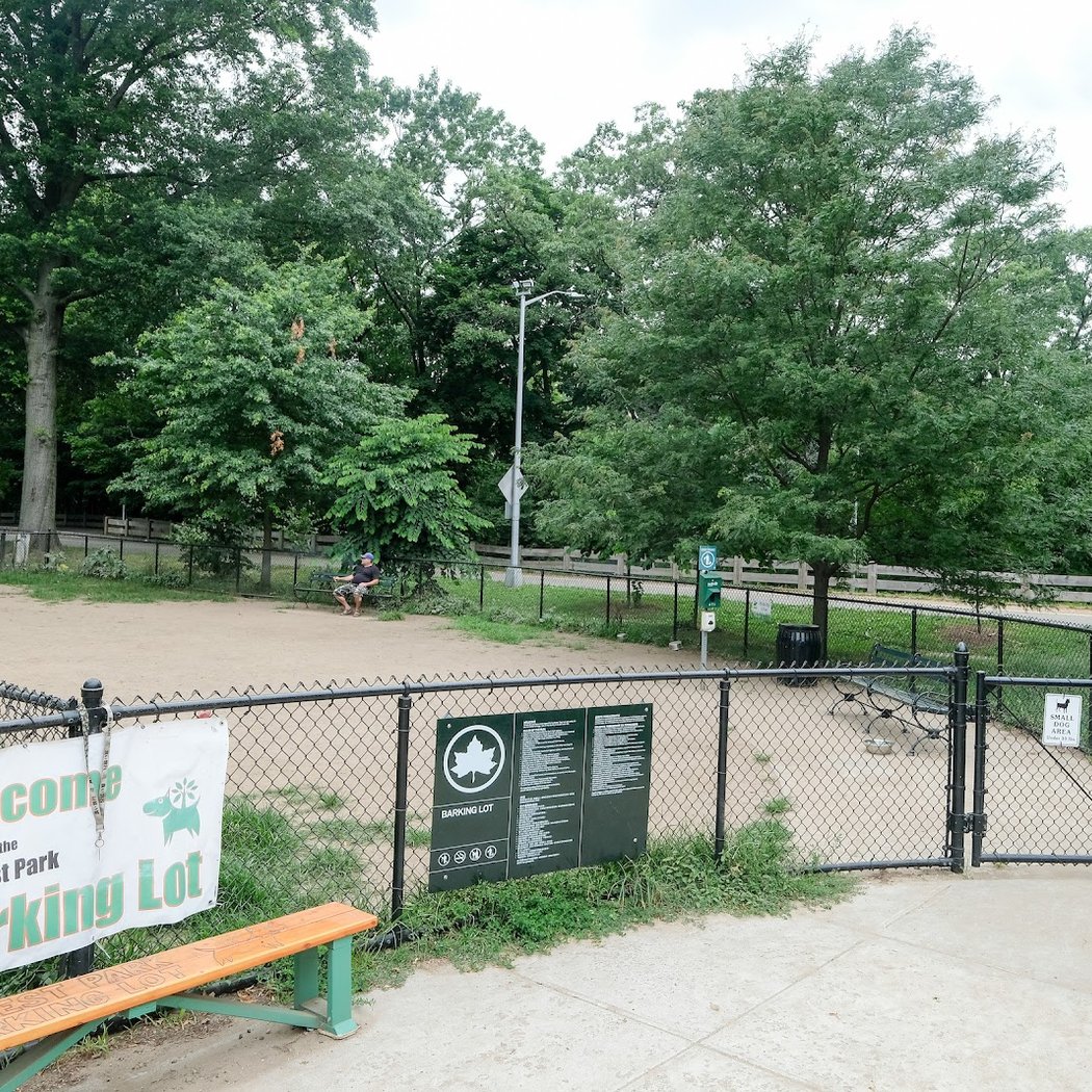 Forest Park Barking Lot 2