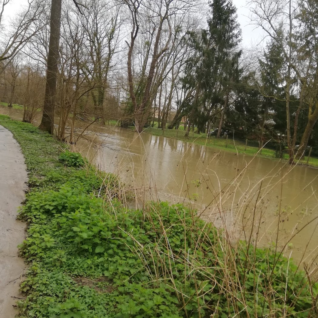 Bords de l'Yerres 2