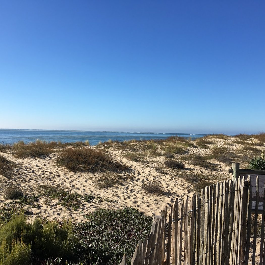 Arcachon Bay 2