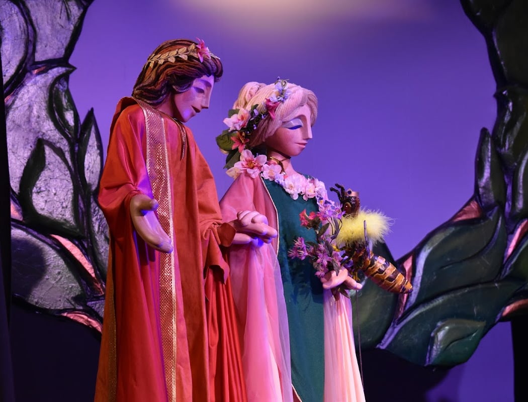Sleeping Beauty: The Time Traveler 1