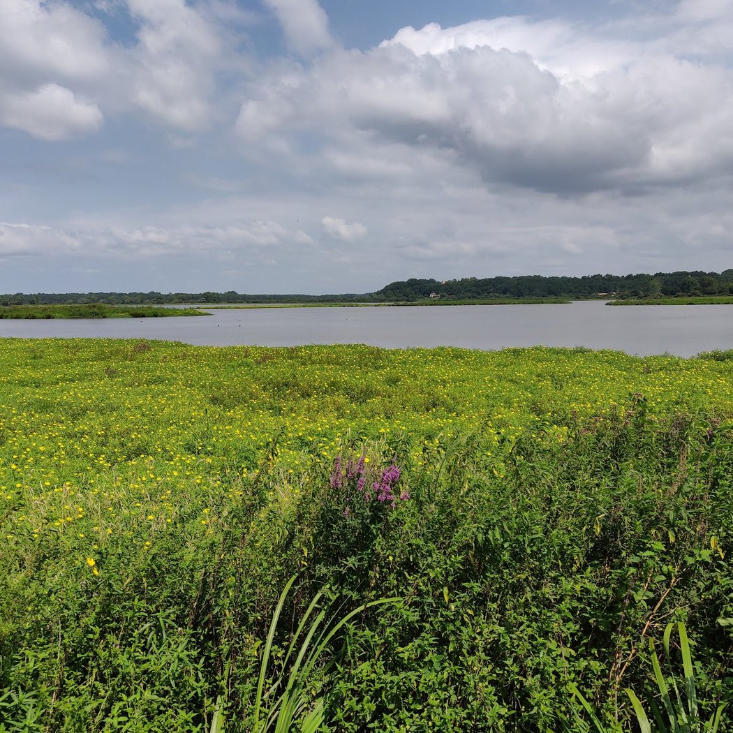 Réserve Naturelle Nationale du Marais d'Orx 3
