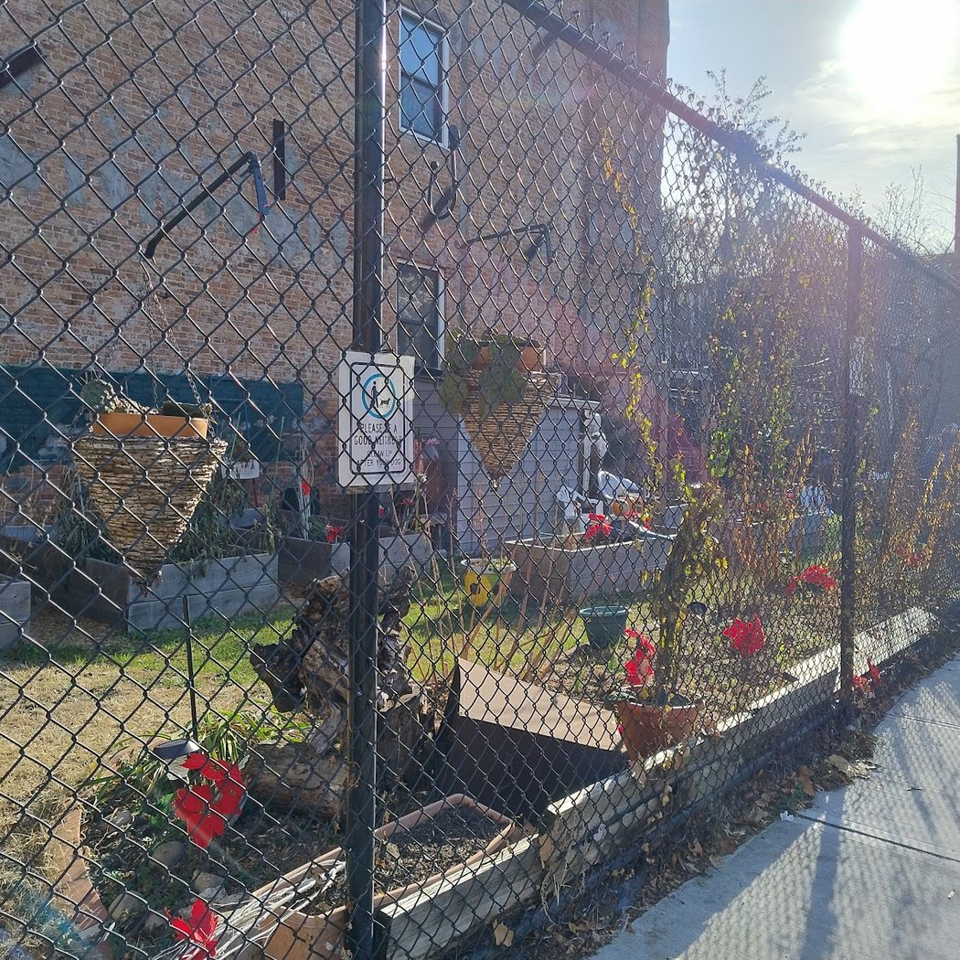 Halsey Ralph & Howard Community Garden 3