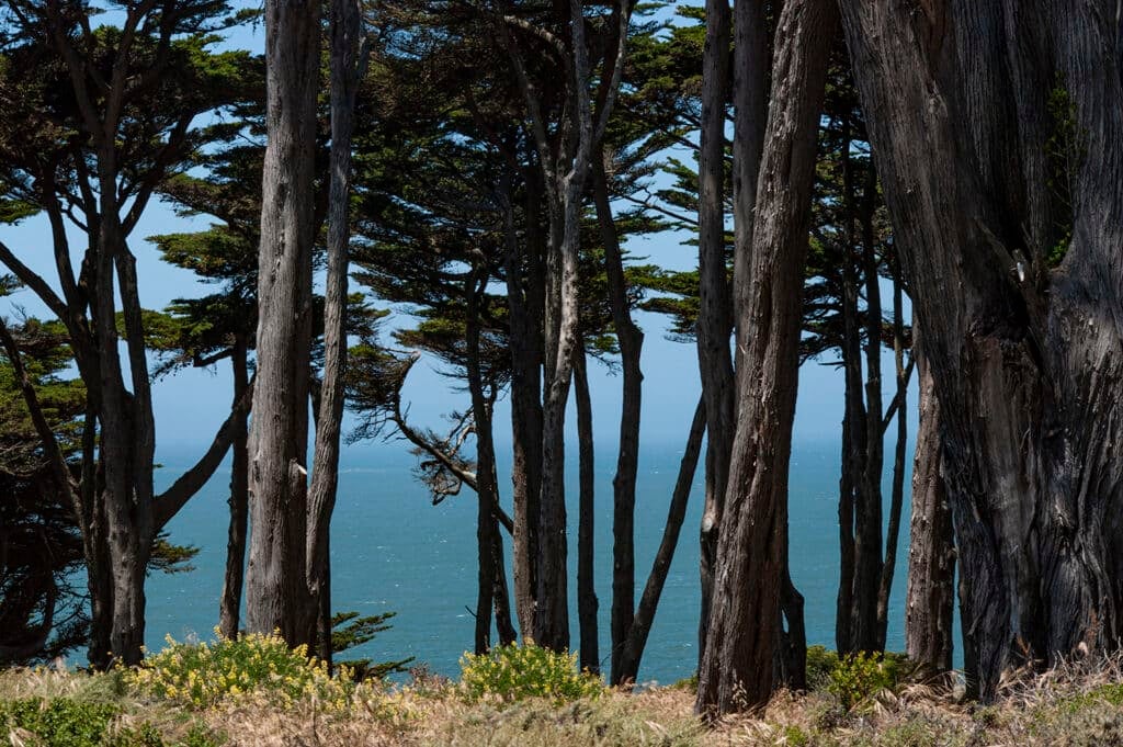 California Coastal Trl 2