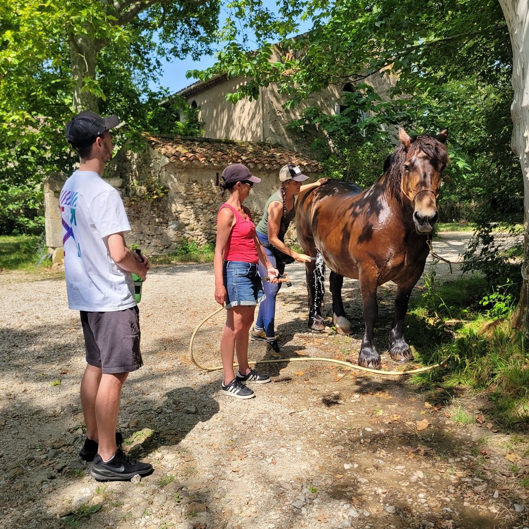 Ferme d' En Gout 2