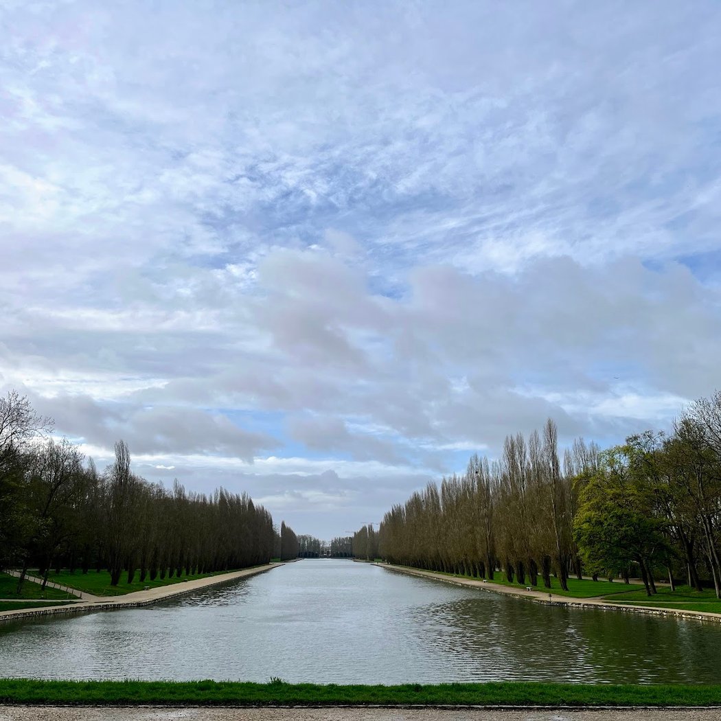Hanami au Parc de Sceaux 2025 4