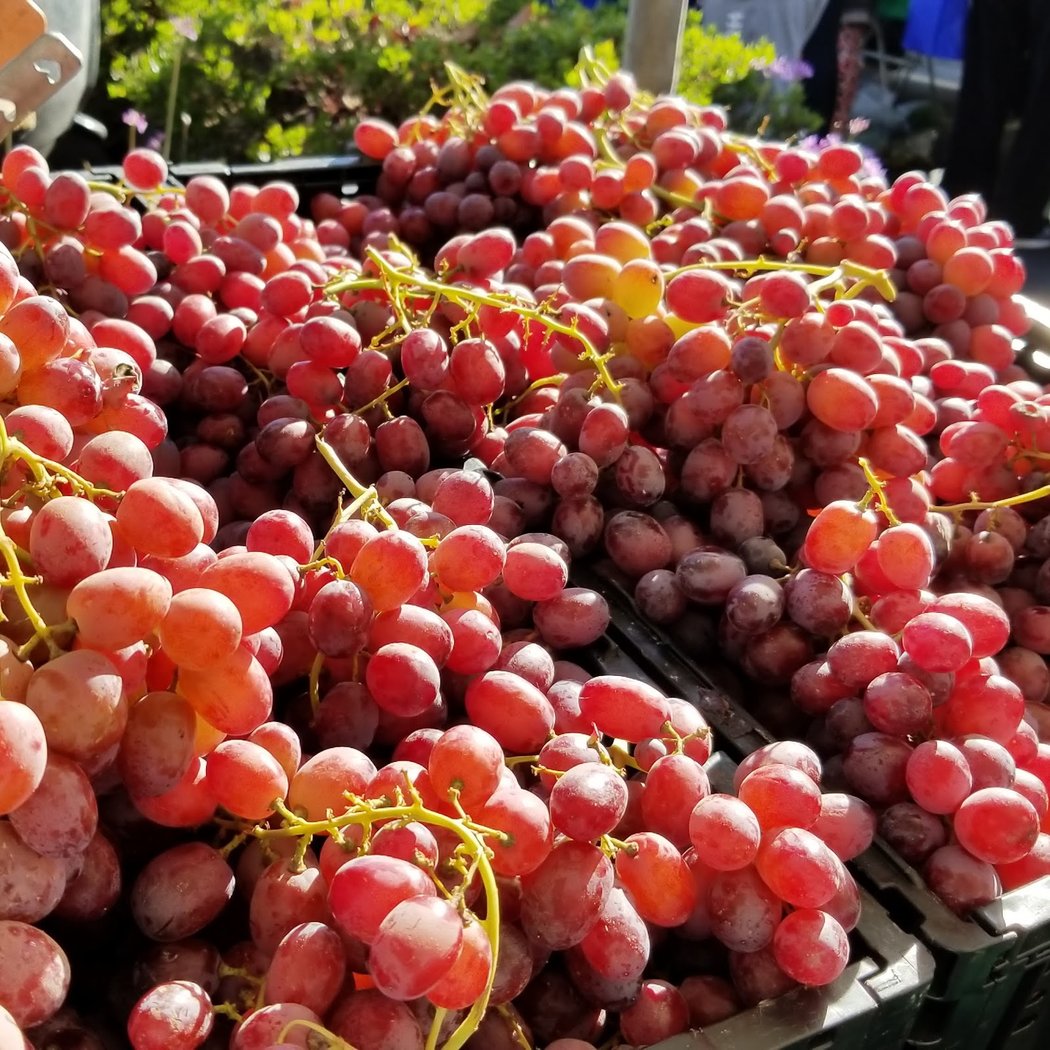El Cerrito Farmers' Market 1