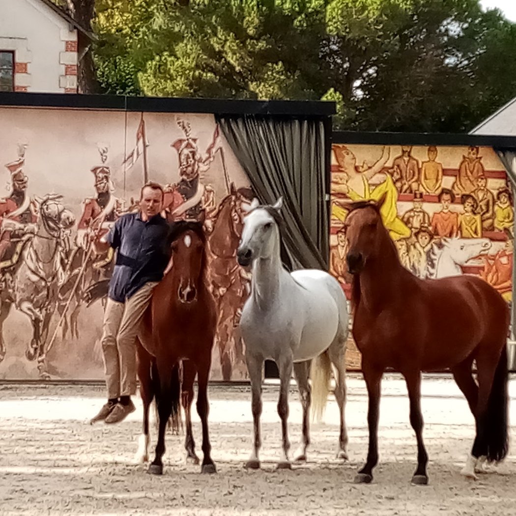 Haras de la Vendée 1
