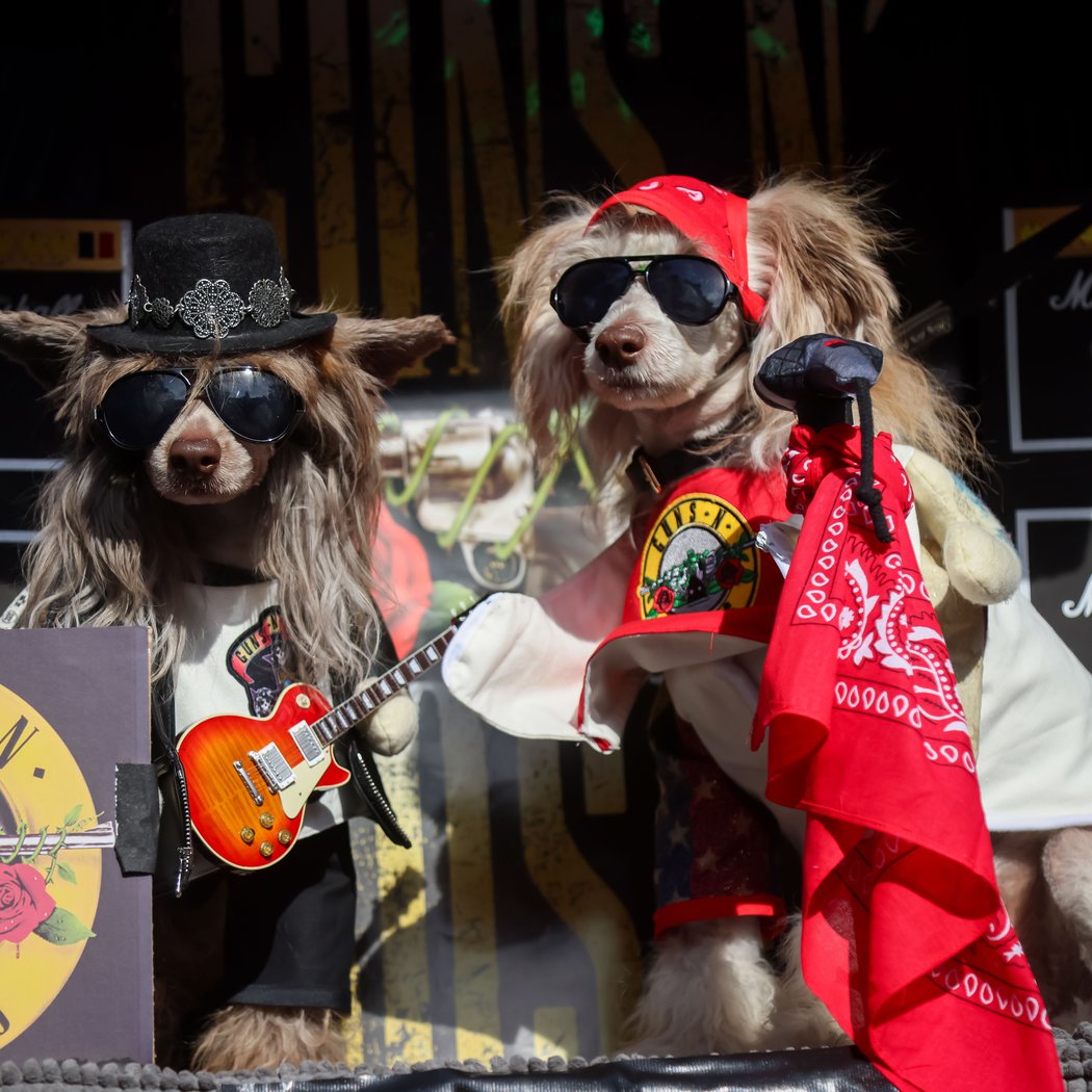 Halloween Dog Parade 1