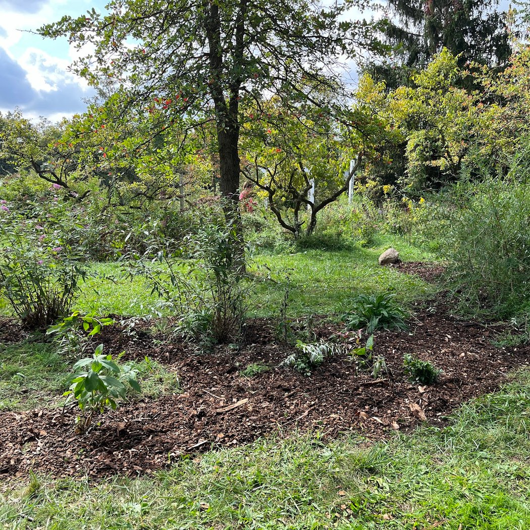 Rotary Club Butterfly and Hummingbird Garden 2