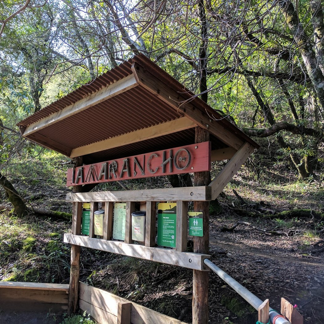 Marin 4-H Camp 2