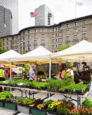 Market to Table at OAK 1