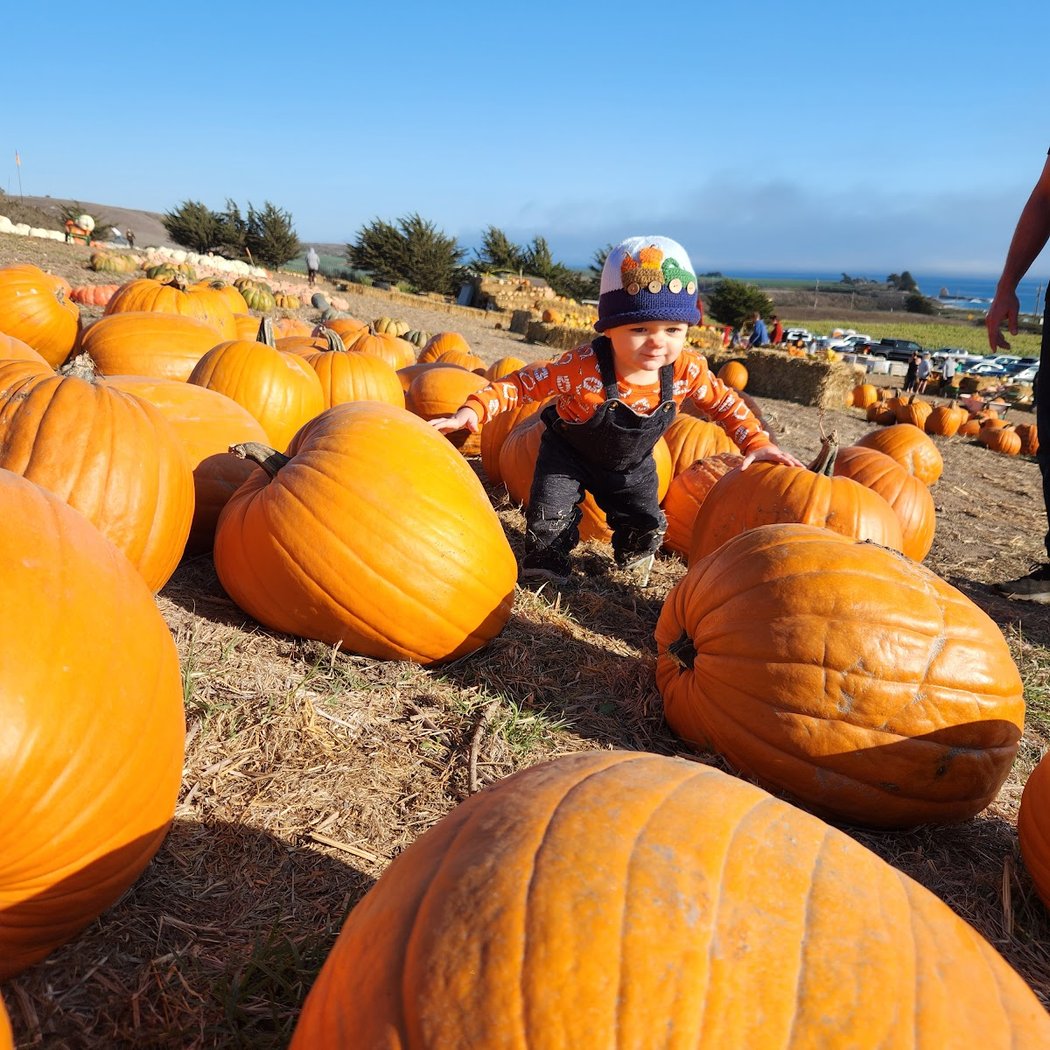 Rodoni Farms 1