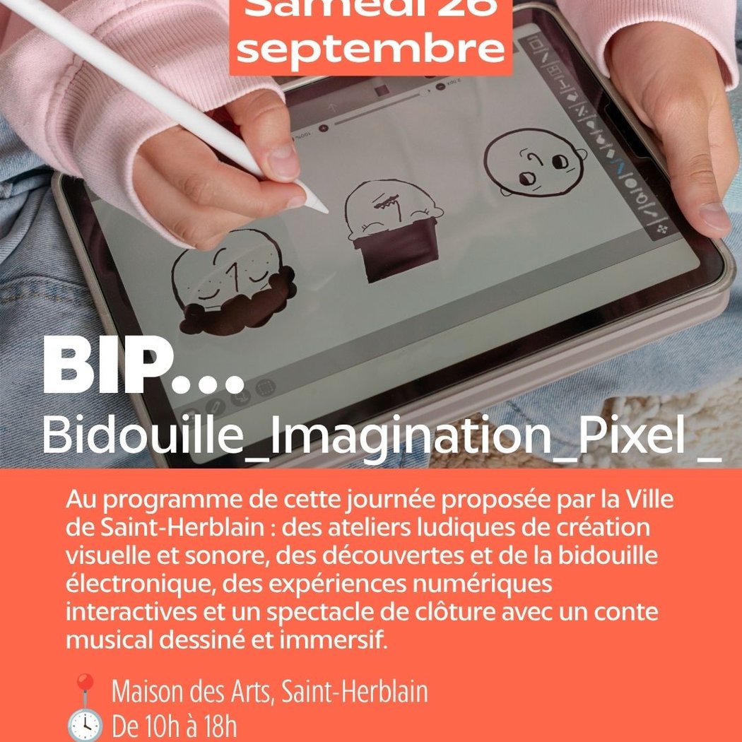 BIP : Bidouille_Imagination_Pixel 1