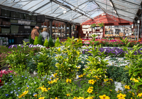 Foire aux Plantes 1