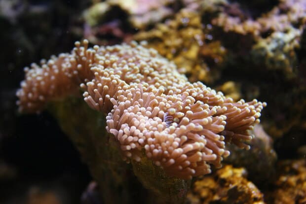 Nocturnal Visit at Aquarium de Paris 2