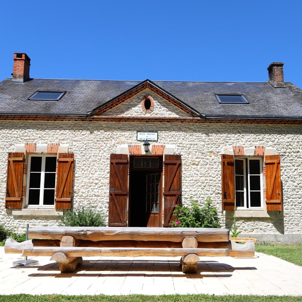 l'appel des forêts 1