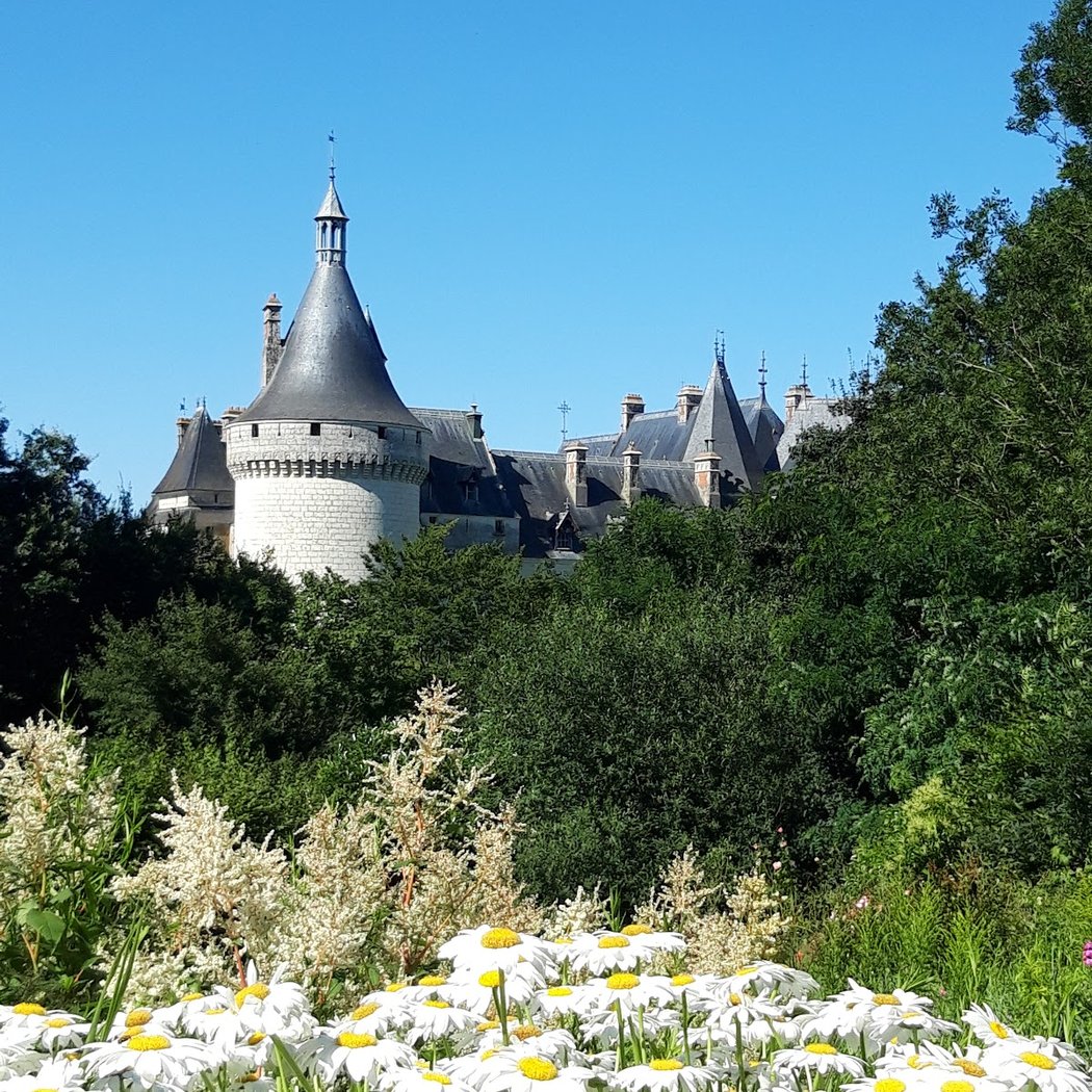 Festival des Jardins 3
