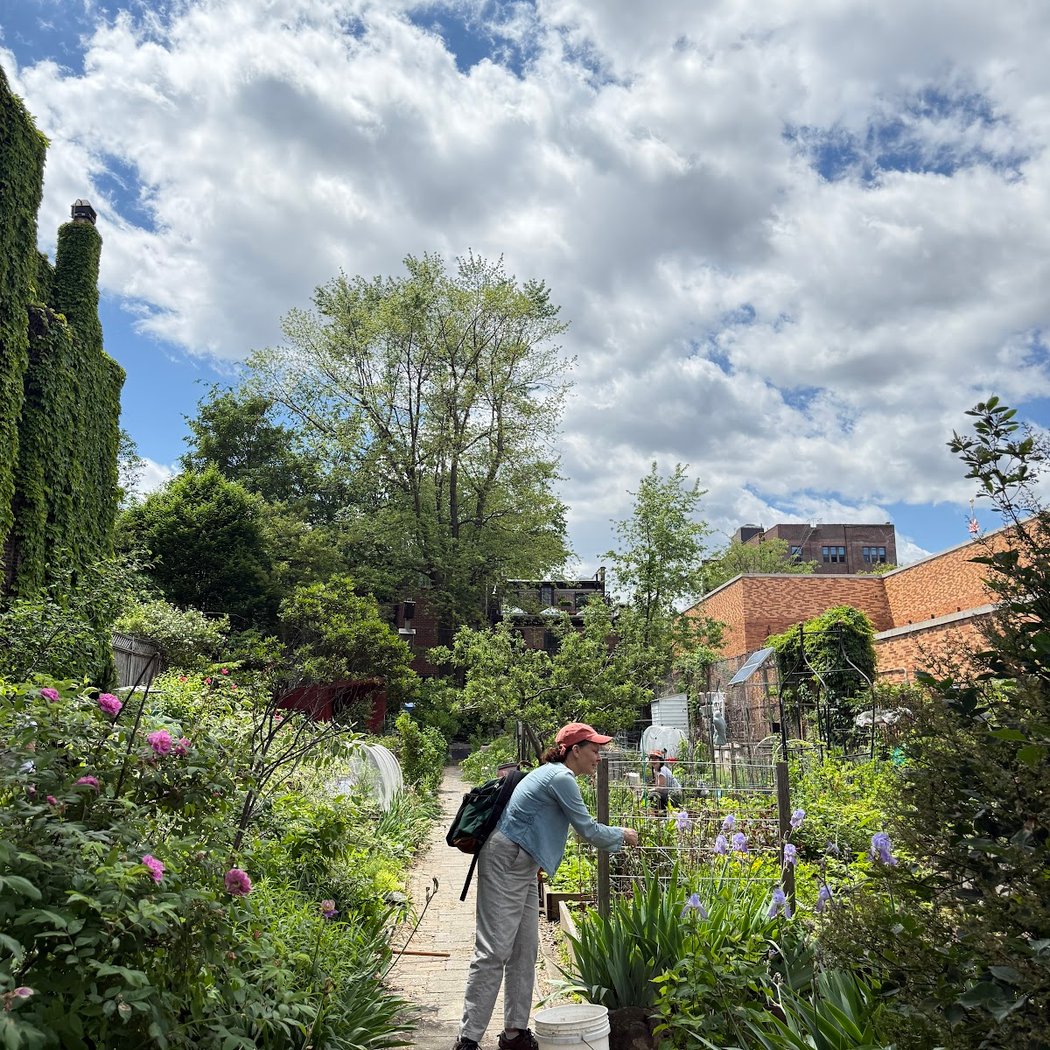 Hollenback Community Garden 2
