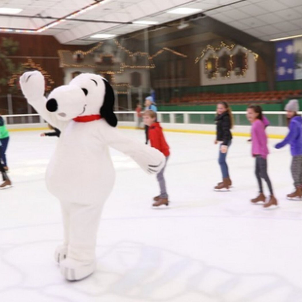Booster Night at Snoopy's Home Ice 1