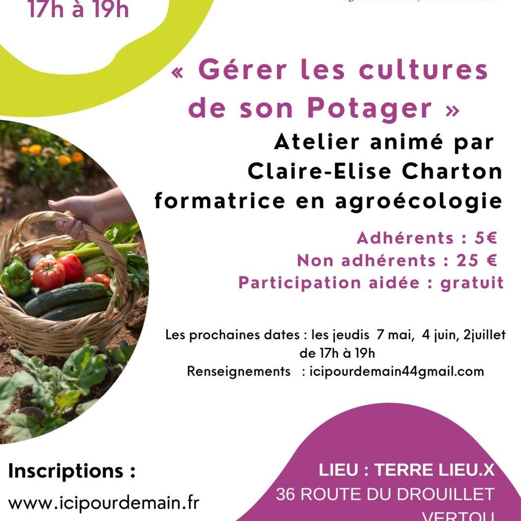 Atelier potager : gérer les cultures de son potager 1